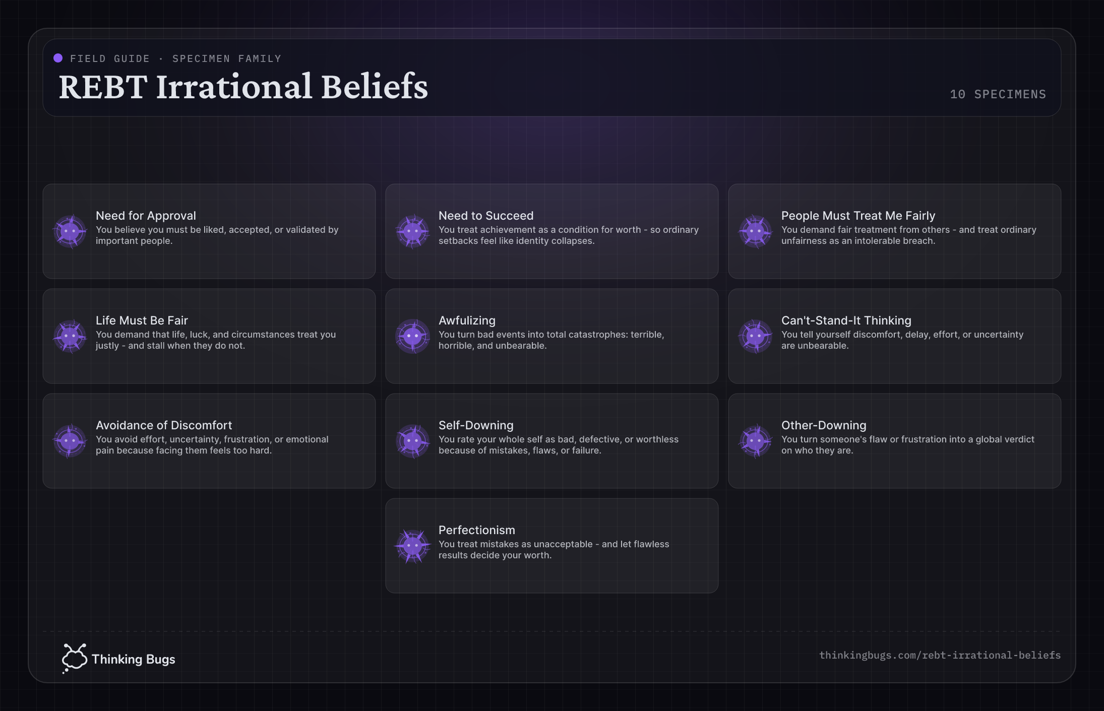 REBT Irrational Beliefs field guide